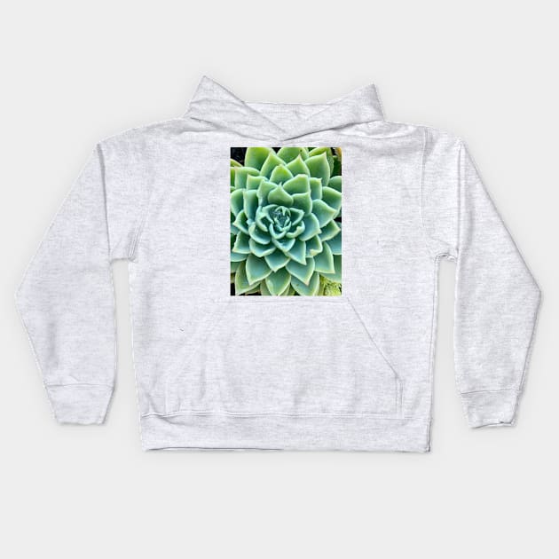 Green Star Succulent with Raindrops Kids Hoodie by Studio Sara Spohr